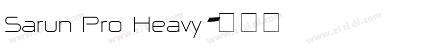 Sarun Pro Heavy字体转换